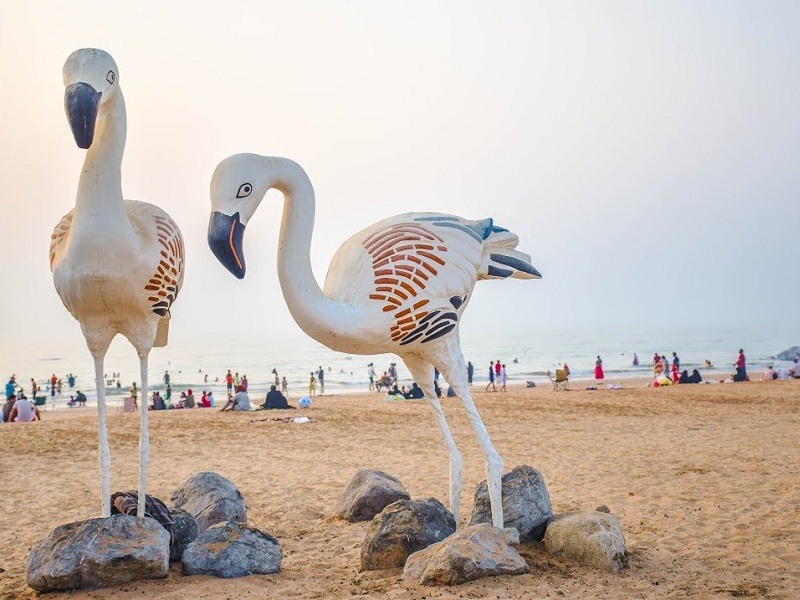 Fun in the sun at Flamingo Beach, Ras Al Khaimah! Golden sands, sparkling waters, and pink flamingos. Your perfect beach day awaits!
