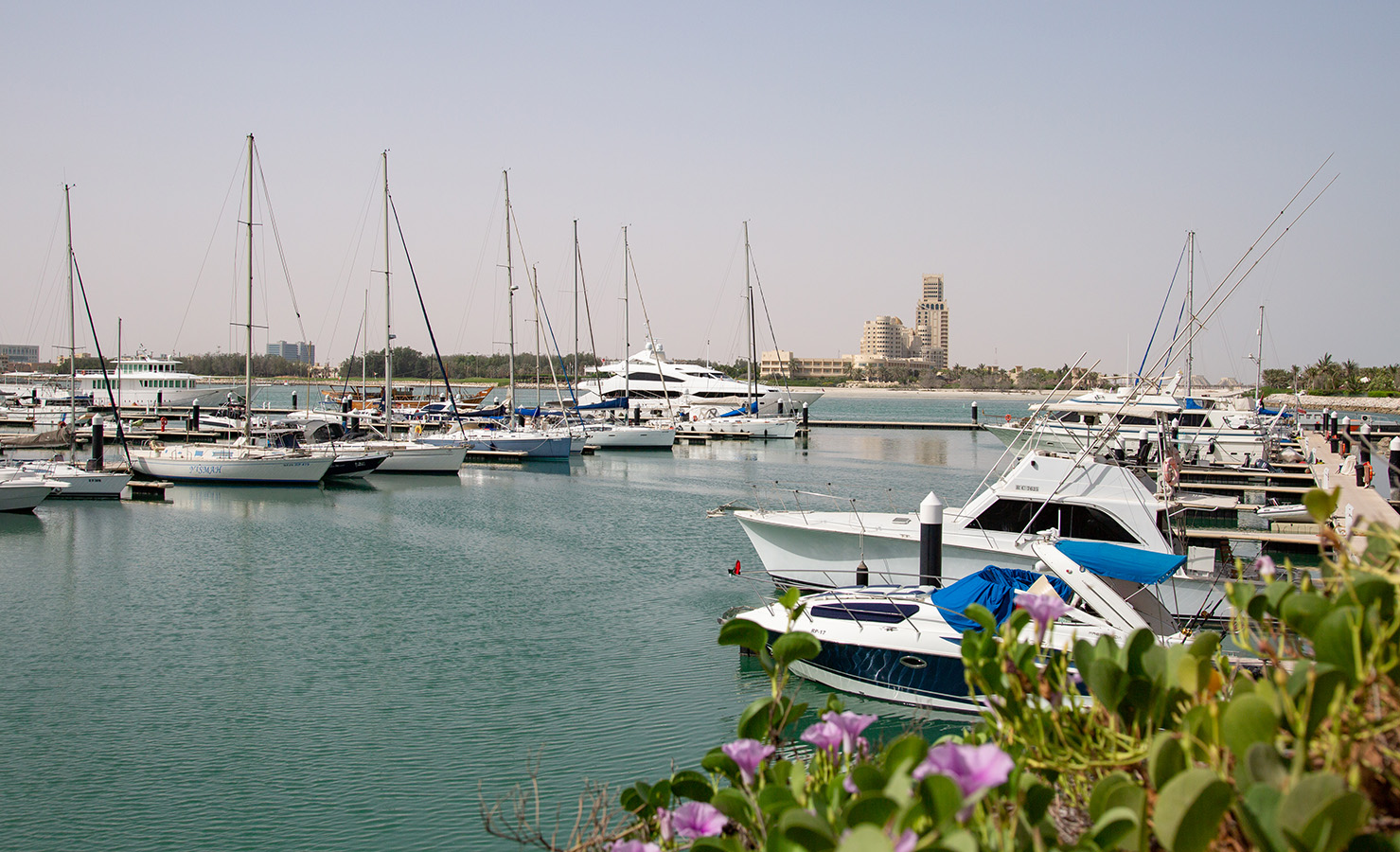 View of Royal Yacht Club in Ras Al Khaimah with a stunning display of various yachts moored in the serene harbor.